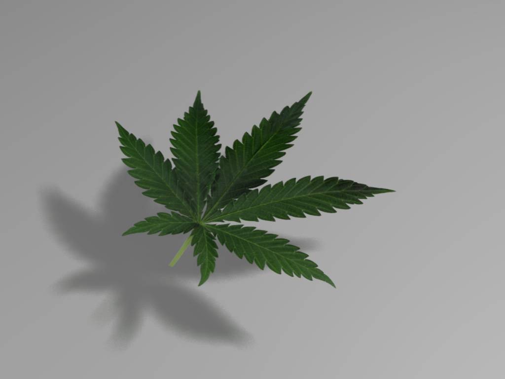 Marijuana leaf preview image 1